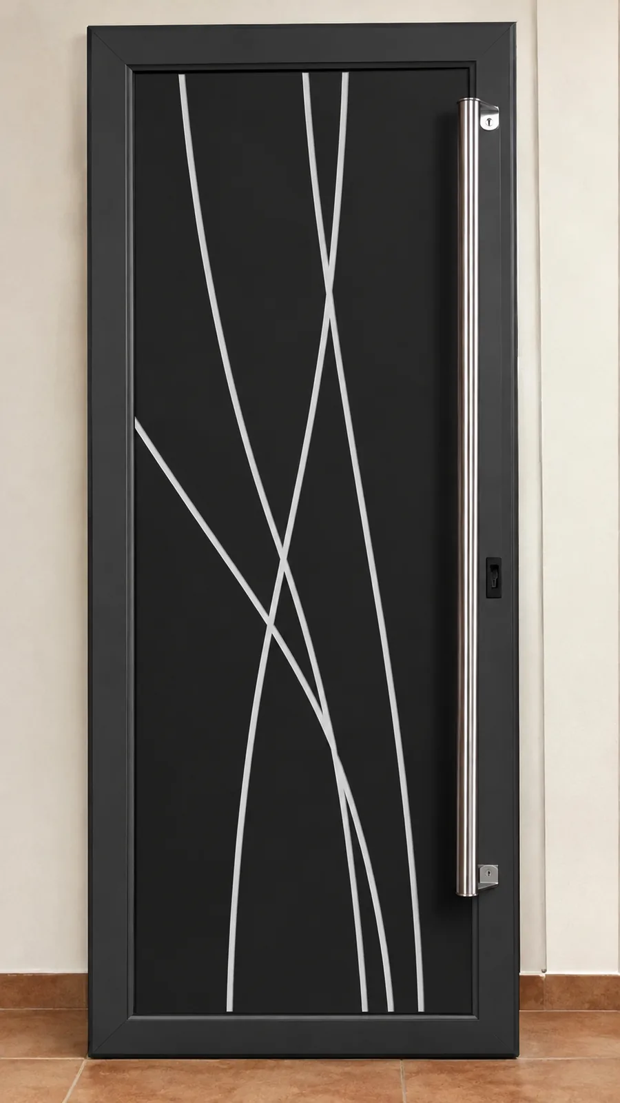 Porte d'entrée aluminium noire design